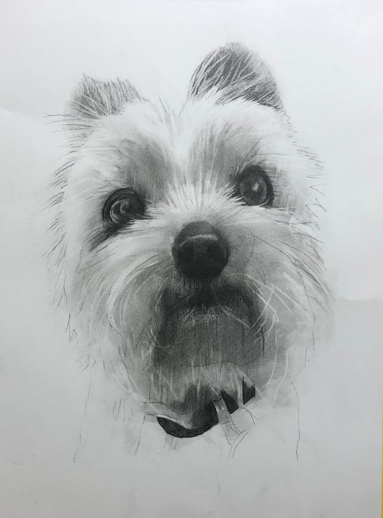 Portraits 3 Poppy - commission for Kate